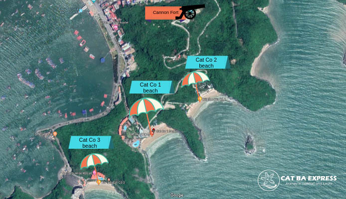 Cat Co Beach Cat Co Beach