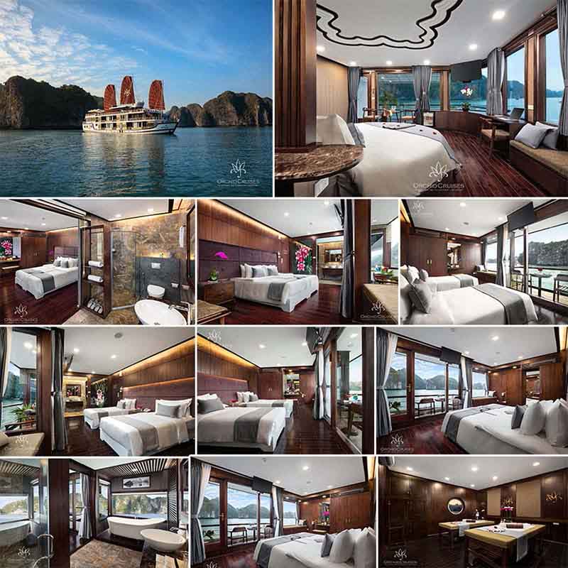 Du thuyền Orchid Cruises Du thuyền Orchid Cruises