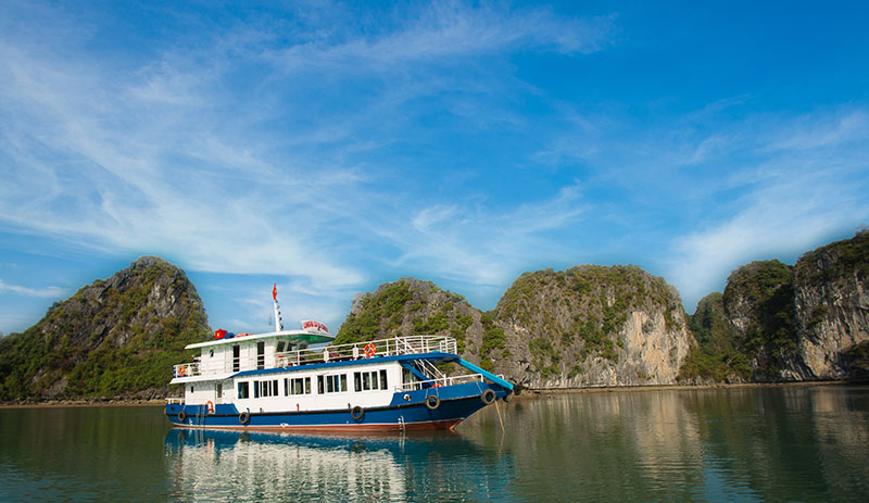 Langur Cruises Langur Cruises