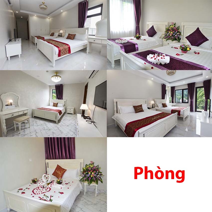 Phòng khách sạn Hoàng Giang Phòng khách sạn Hoàng Giang