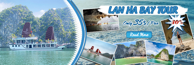 Promotion Cruise Promotion Cruise