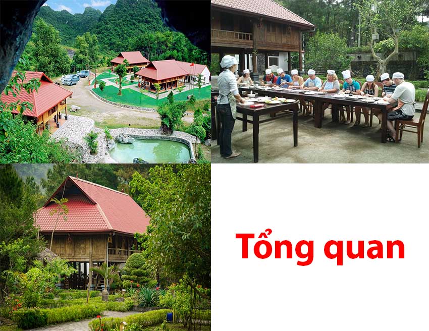 Cat Ba Eco Lodge Resort