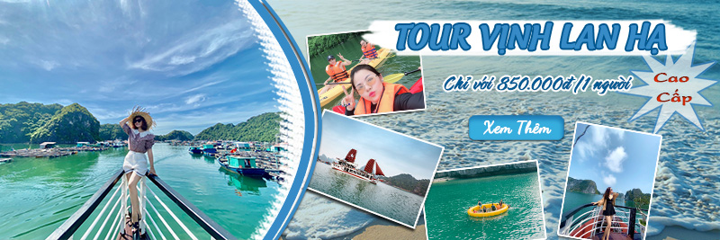 Tour Vịnh Lan Hạ 1 ngày