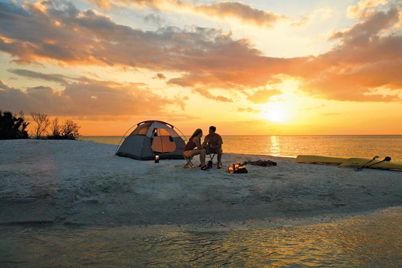 Catch the bright dawn Catch the bright dawn