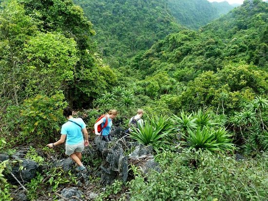 Rừng quốc gia Cát Bà Rừng quốc gia Cát Bà