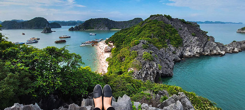 Monkey Island Monkey Island