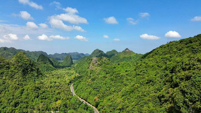 Cat Ba National Park Way