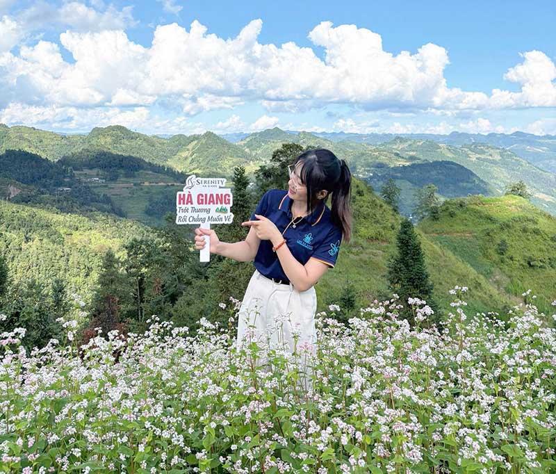 Hoa Tam Giác Mạch Hà Giang