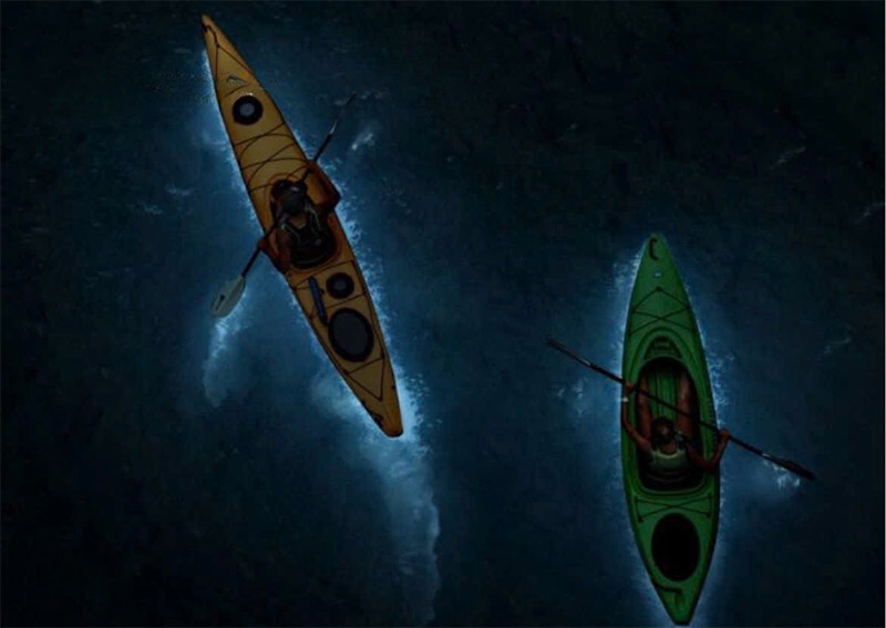 Night Kayaking Night Kayaking