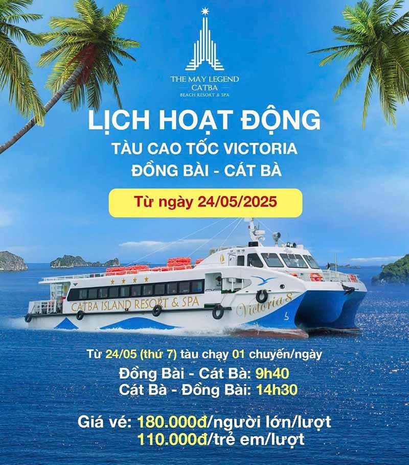 Tàu cao tốc Đồng Bài - Cát Bà