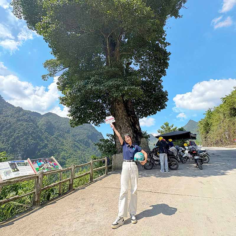 Lonely Tree - Ha Giang
