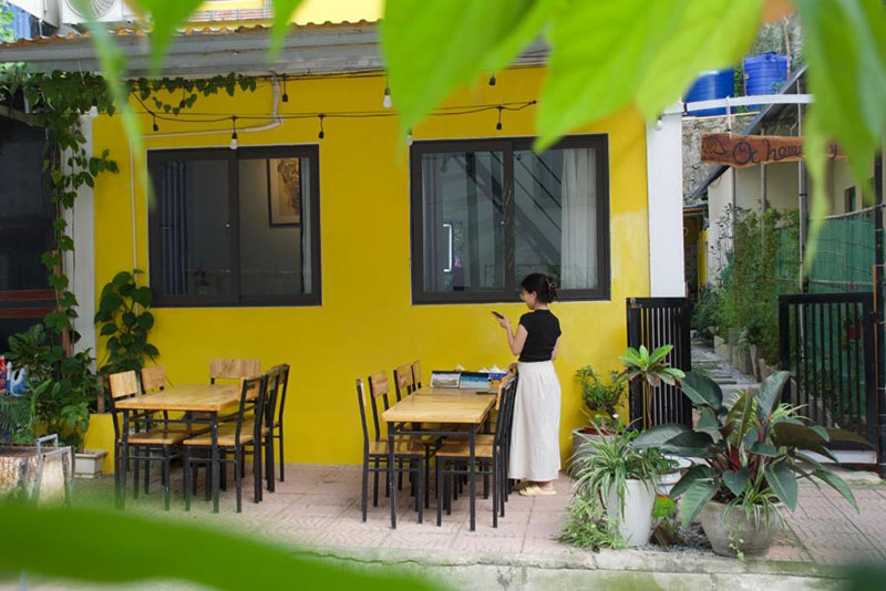 Ốc Cát Bà Homestay Ốc Cát Bà Homestay