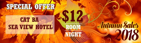 Big sale Autumn Combos 2019