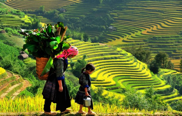 Easy trekking Lao Chai - Ta Van village with homestay