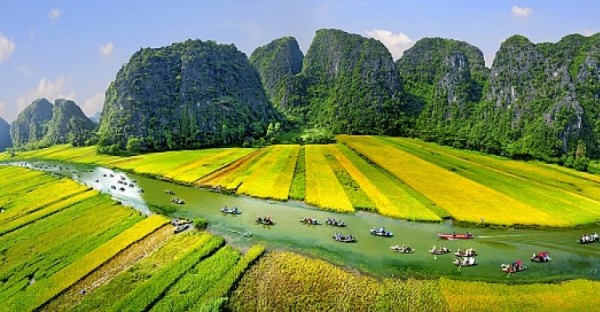 Tour Hoa Lư Tam Cốc 1 ngày