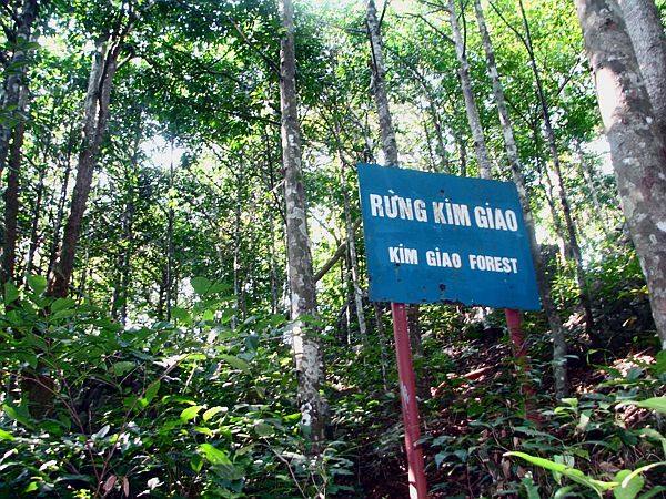 rừng Kim Giao Cát Bà