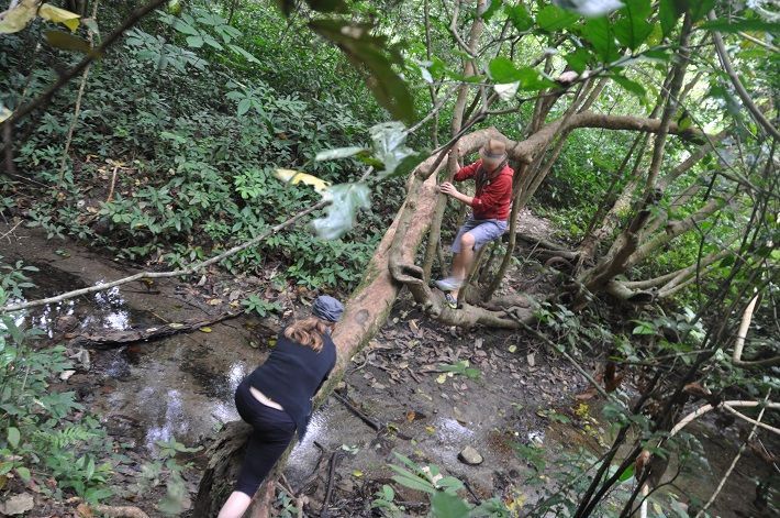 Trekking Cat Ba National Park