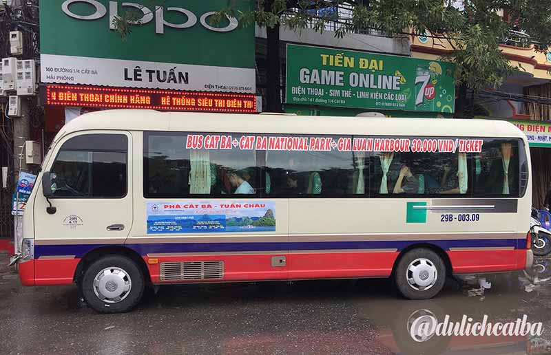 Xe bus Cát Bà đi Rừng Quốc Gia bến Gia Luận