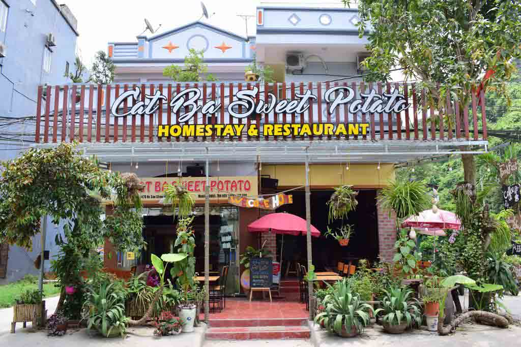 Sweet Potato Cát Bà ​Homestay