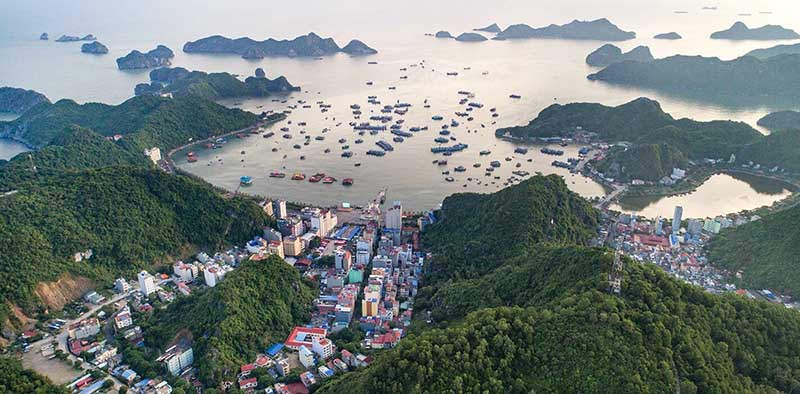 Top những nhà hàng Cát Bà tốt nhất 2026