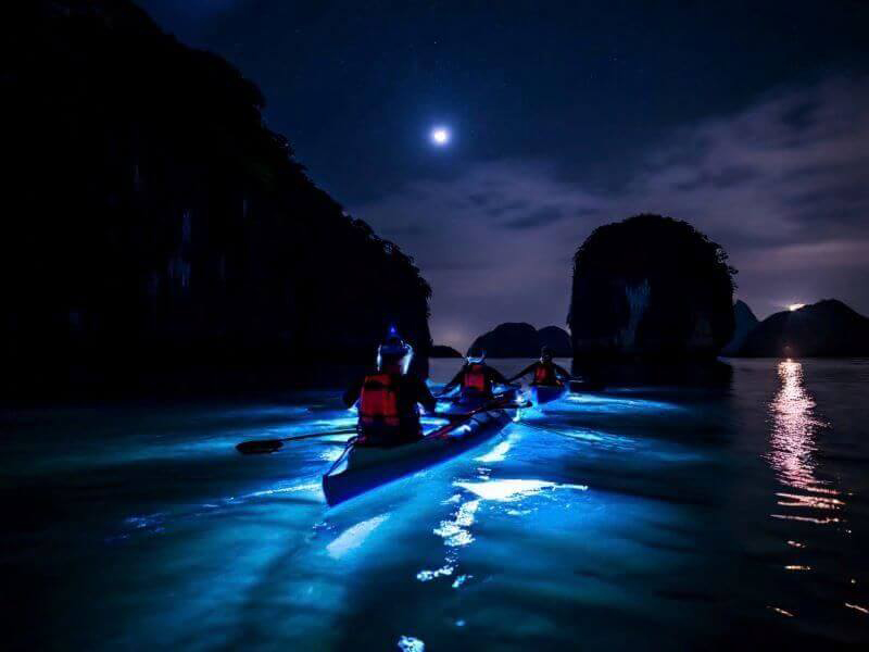 Lan Ha Bay Bioluminescent Tour