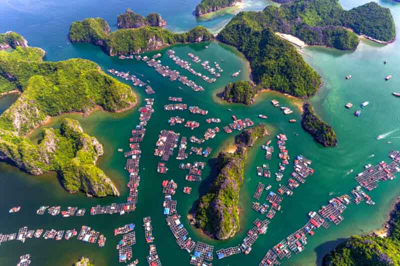Làng chài Cái Bèo - Nét đẹp bình dị giữa Vịnh Lan Hạ