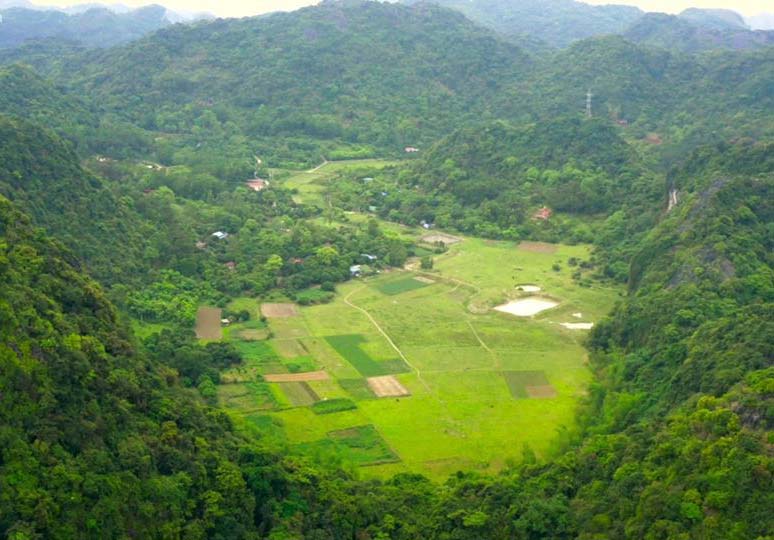 Làng Liên Minh Cát Bà