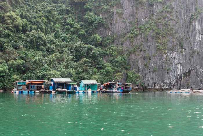 Làng Việt Hải - Chốn Chân Quê Giữa Đảo Cát Bà