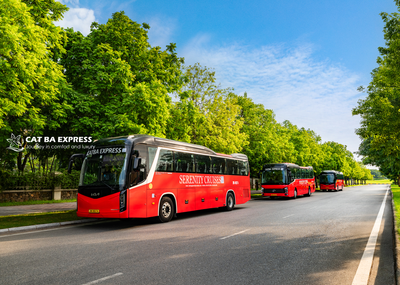 Cat Ba Express Bus
