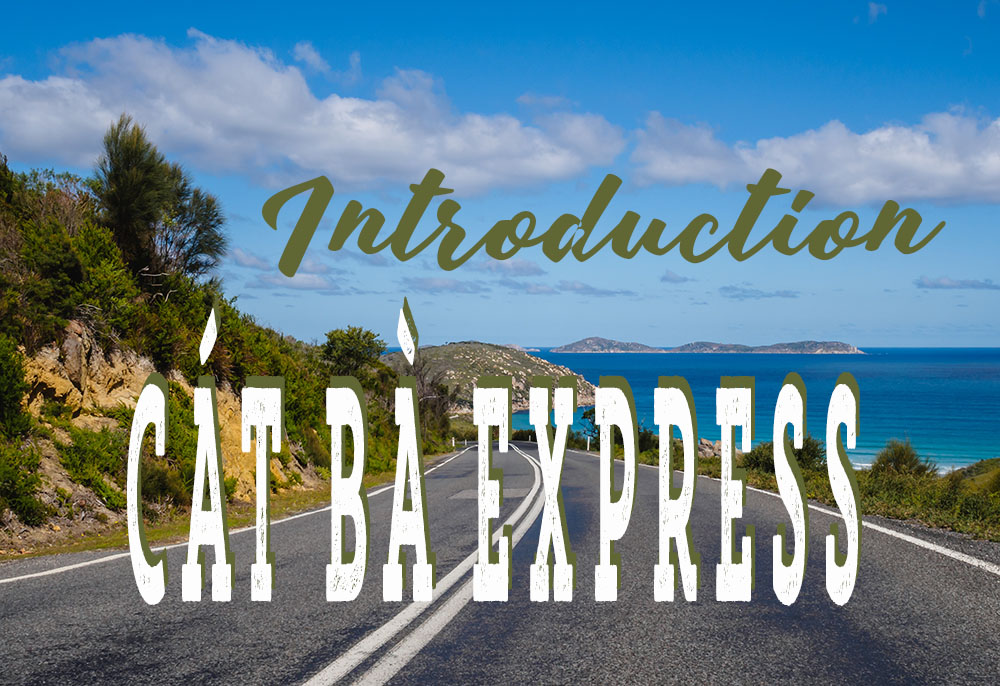 CAT BA EXPRESS BUS
