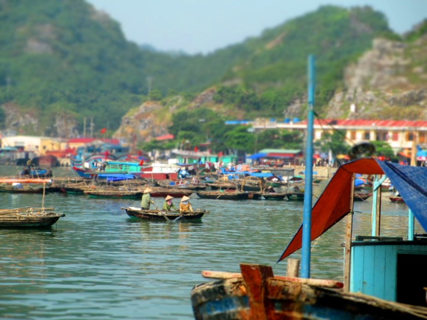 From the land, we can see thousands of boats on the sea 