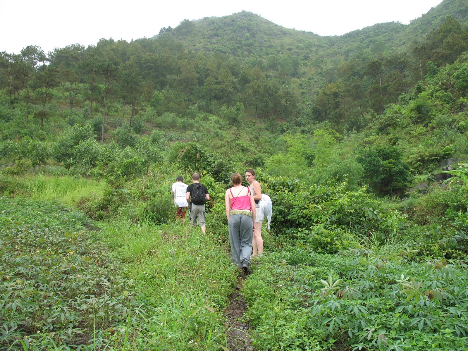Trekking in cat Ba national Park