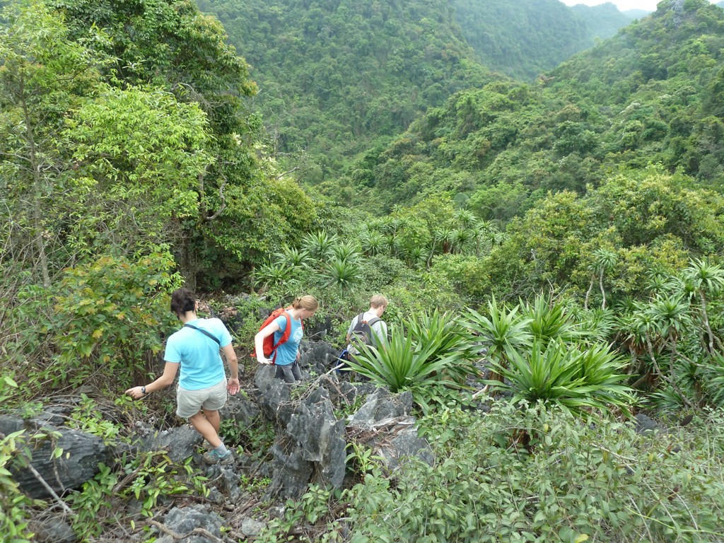 Trekking in cat Ba national Park