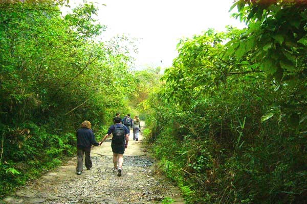 Trekking in cat Ba national Park
