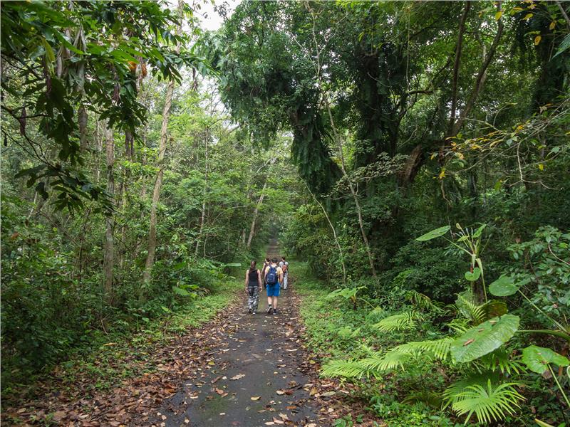 Trekking in cat Ba national Park