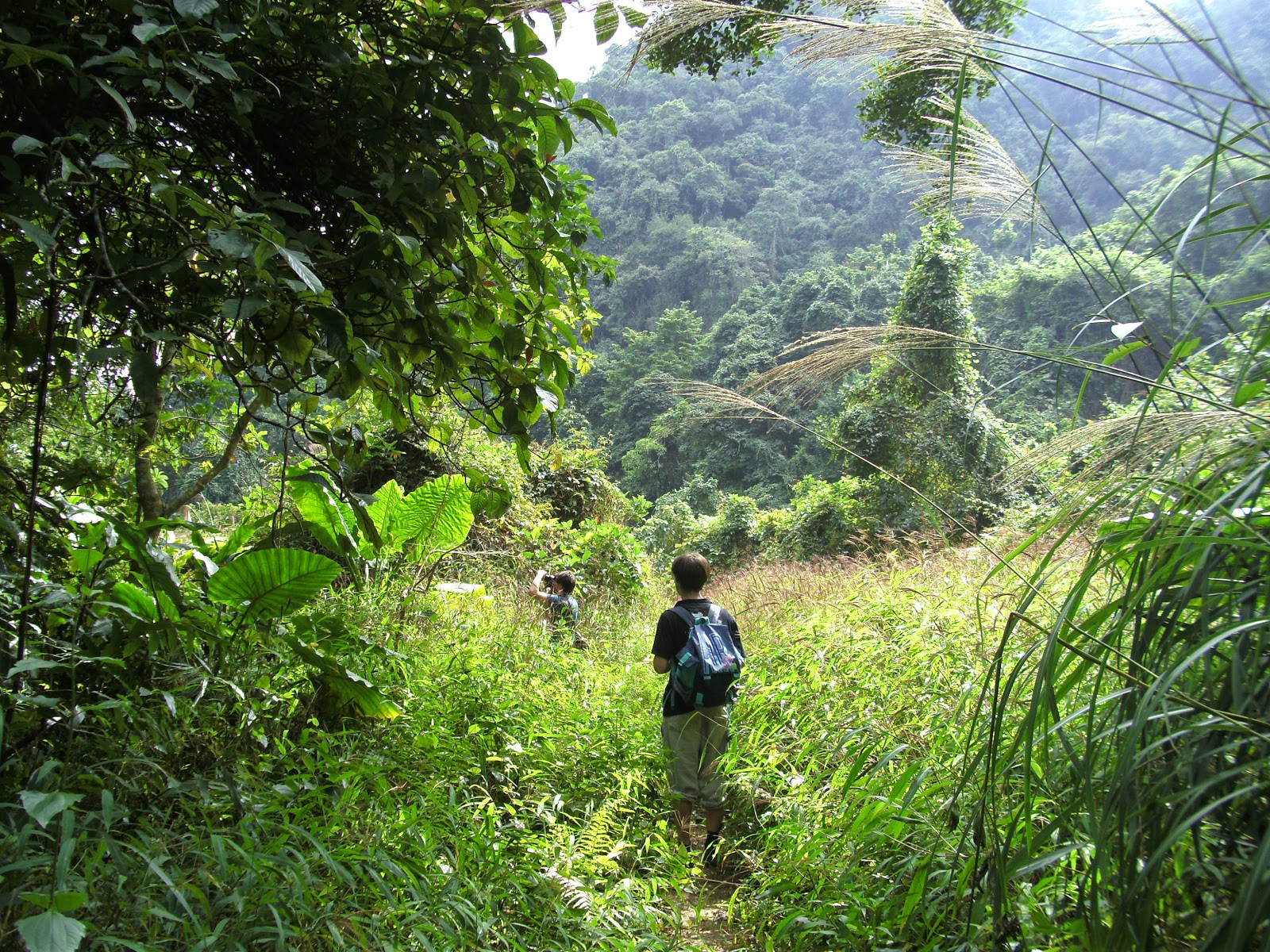 Trekking in cat Ba national Park