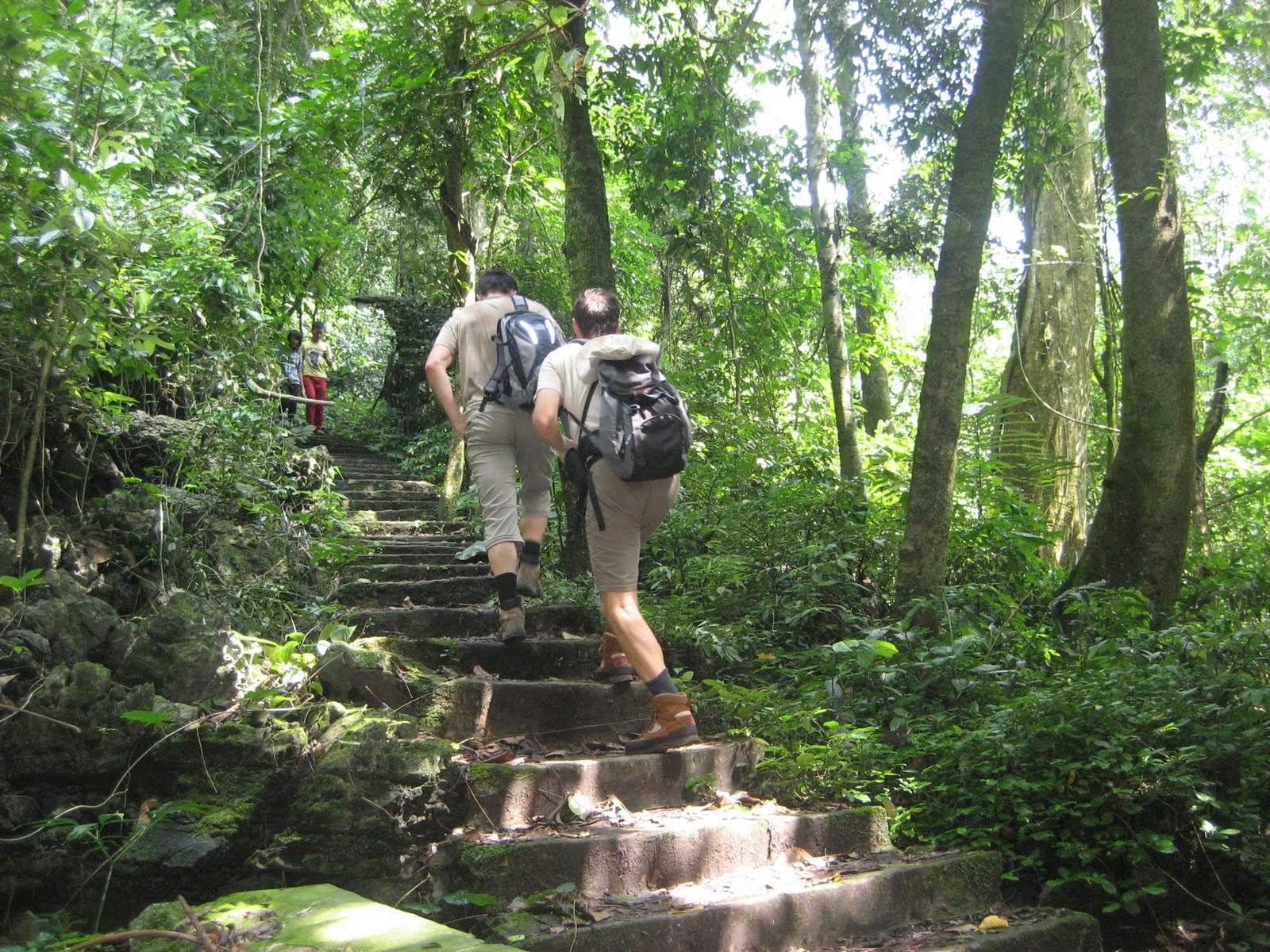 Trekking in cat Ba national Park
