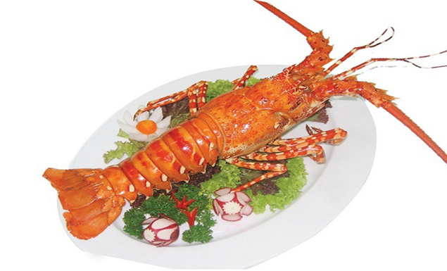 Cat Ba lobster