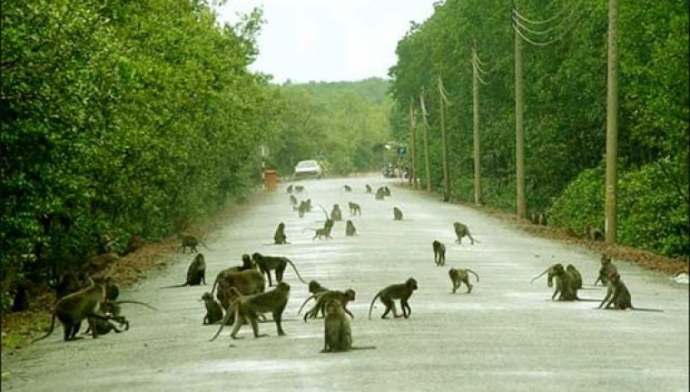 What are you doing, babies^^