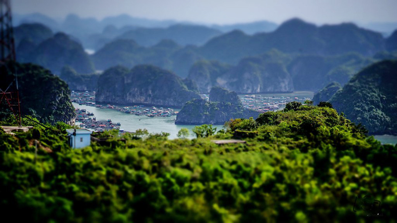 Vịnh Lan Hạ