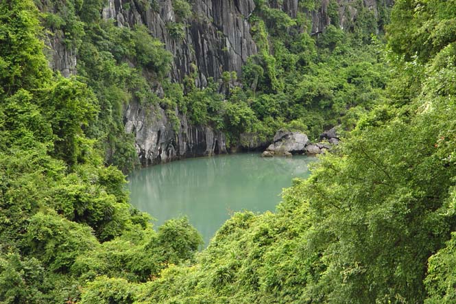 Vườn Quốc Gia Cát Bà