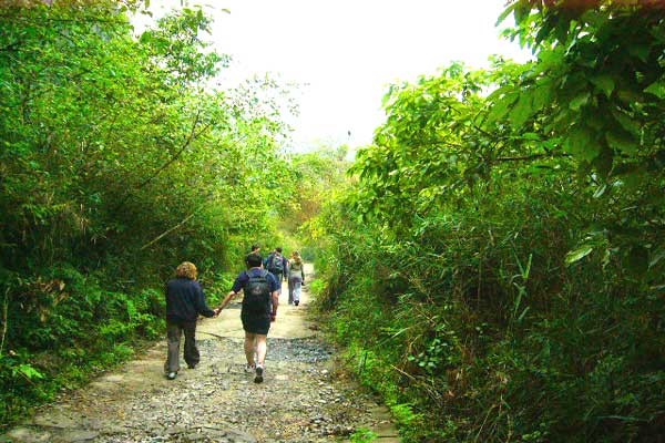 Full day Hiking Cat Ba National Park