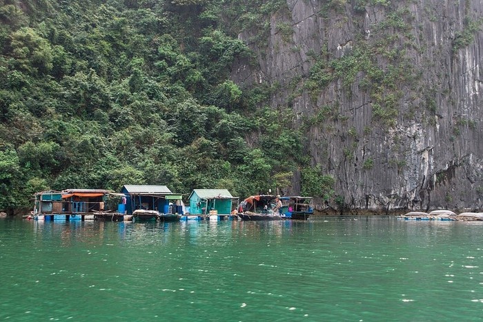 Tour du lịch Vịnh Lan Hạ - Cát Bà 3 ngày 2 đêm - Tàu & KS
