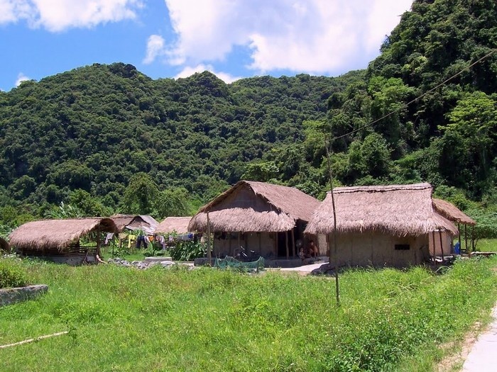 Tour du lịch Vịnh Lan Hạ - Cát Bà 3 ngày 2 đêm - Tàu & KS