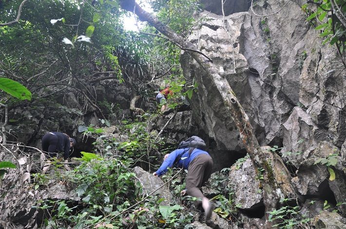Full day Hiking Cat Ba National Park 5