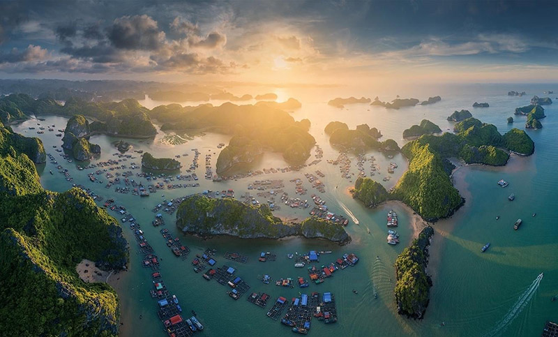 Vịnh Lan Hạ Cát Bà - Kinh nghiệm du lịch 2026