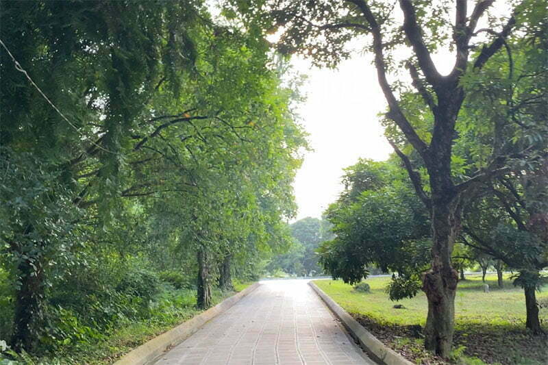 Đường dẫn vào Chùa Bà Đanh Đường dẫn vào Chùa Bà Đanh