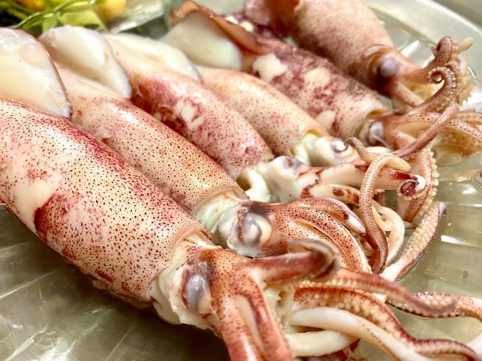 Mực ngon Cát Bà Mực ngon Cát Bà