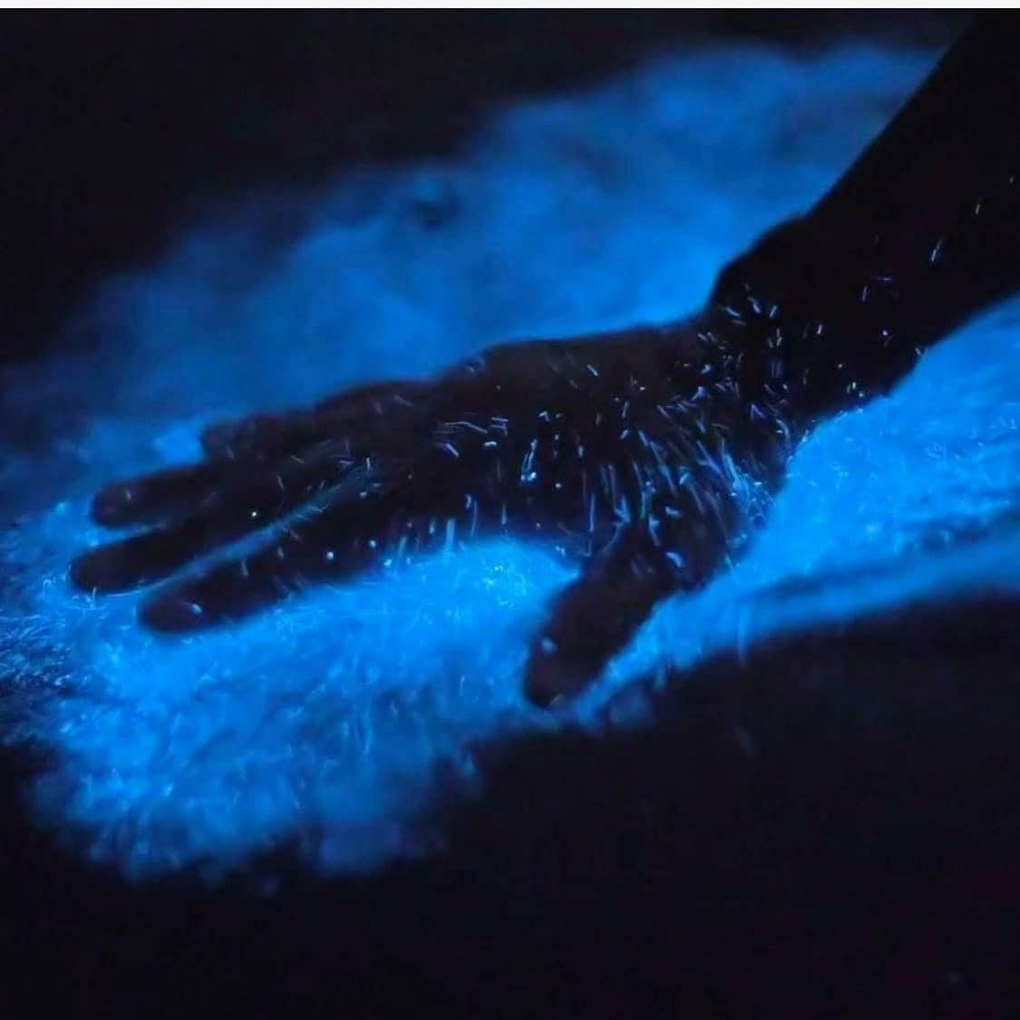 X-Stay Floating House ngắm lân tinh