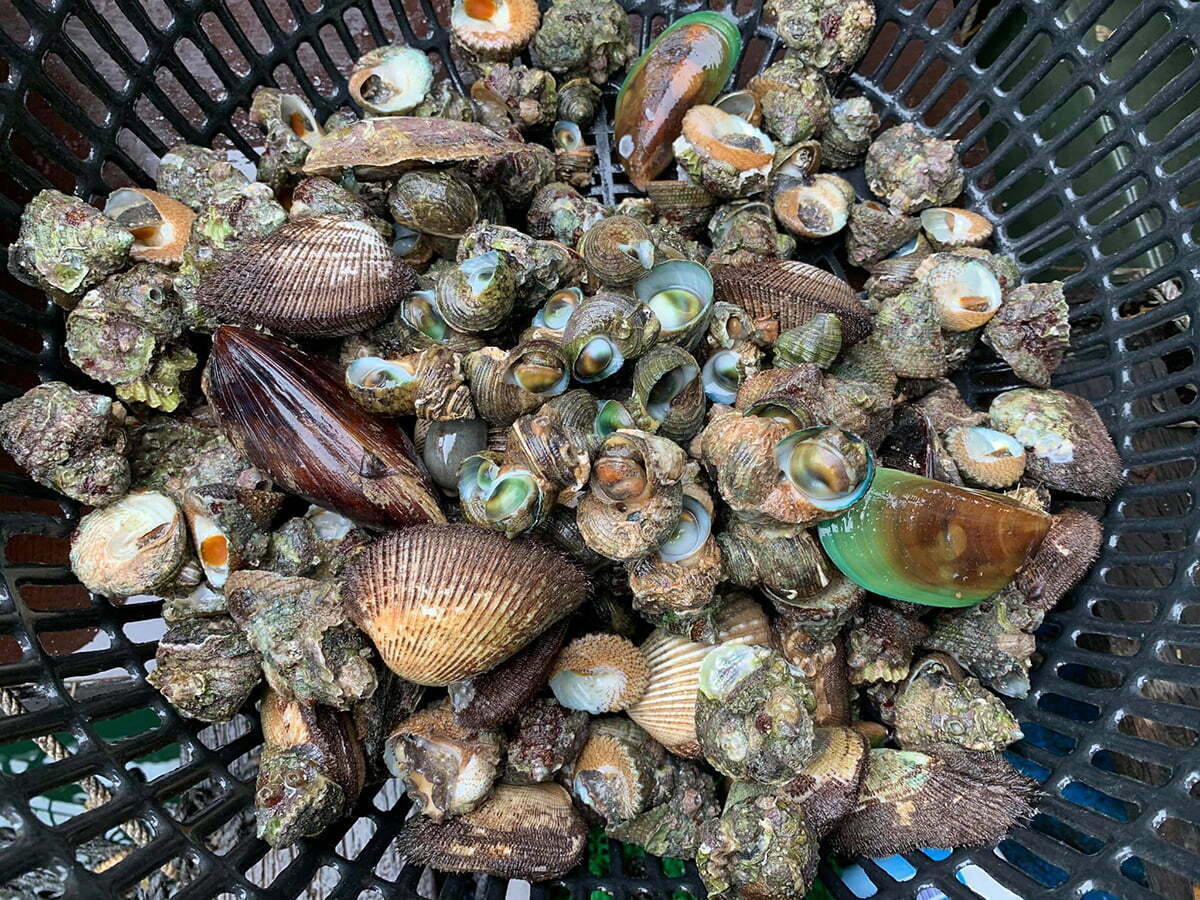 X-Stay Floating House rổ hải sản ốc, sò, vẹm